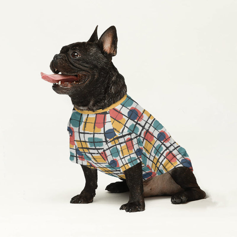 Alison - Durable Wool Sweater For Frenchies Indoor Comfort