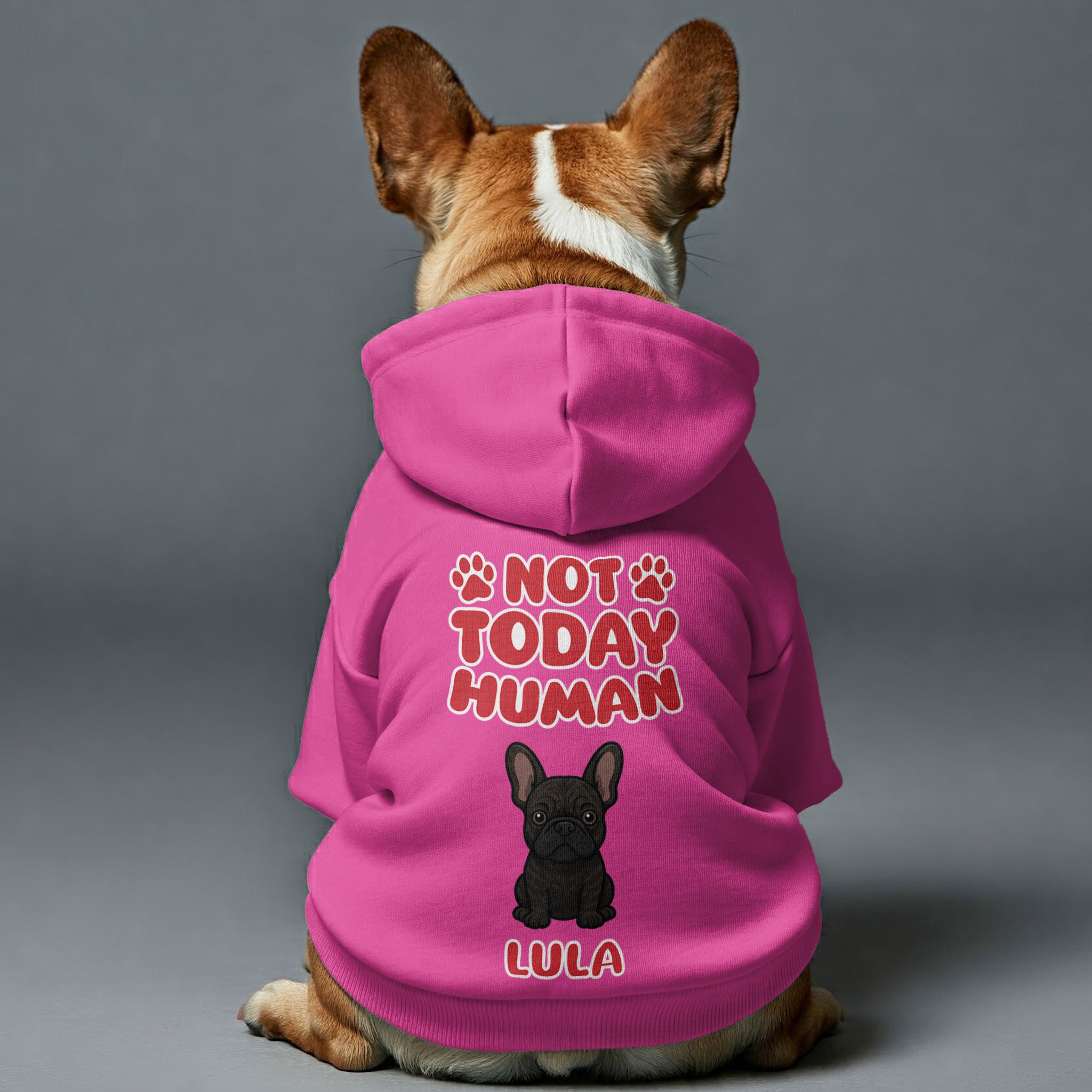 Not Today - Trendy Personalized French Bulldog Hoodies With Funny Quotes, Custom Name, And Custom Clipart Matching Your Frenchie's Color – Stylish, Cozy, And Premium 100% Cotton For Dog Lovers