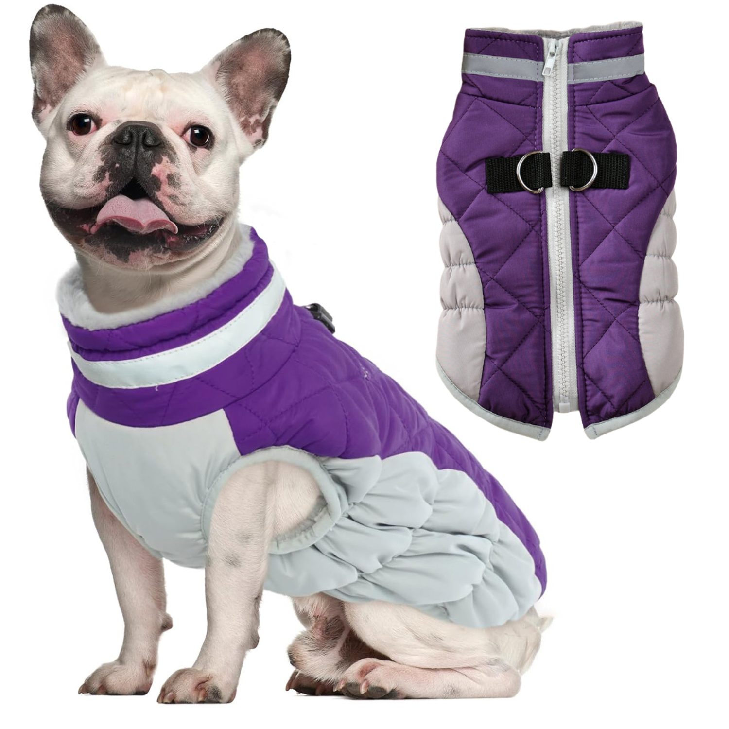 Reflective Frenchie Coat with Built-In Harness