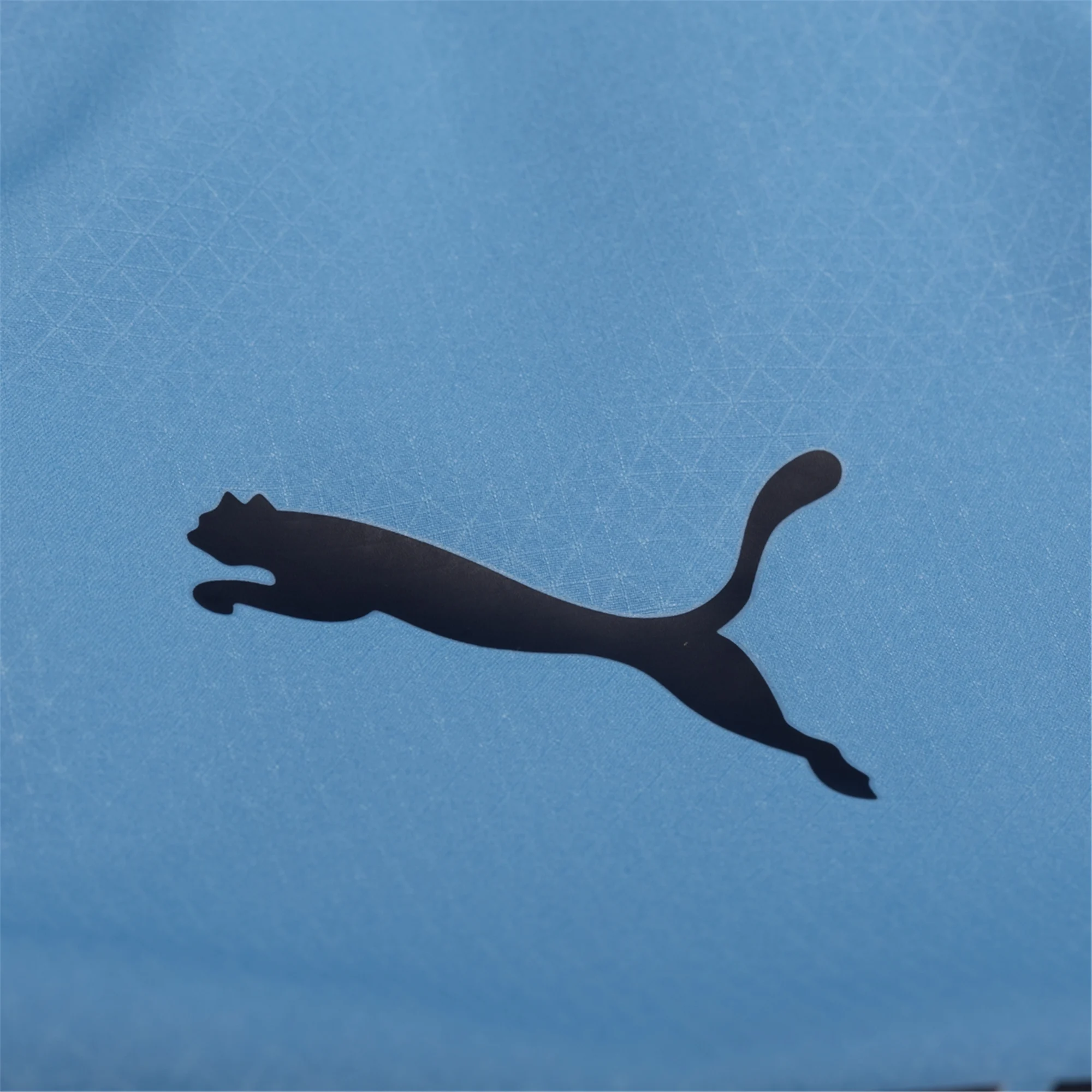 Manchester City Blue/White) 2025-2026 UCL Home Jersey – Authentic Shirt