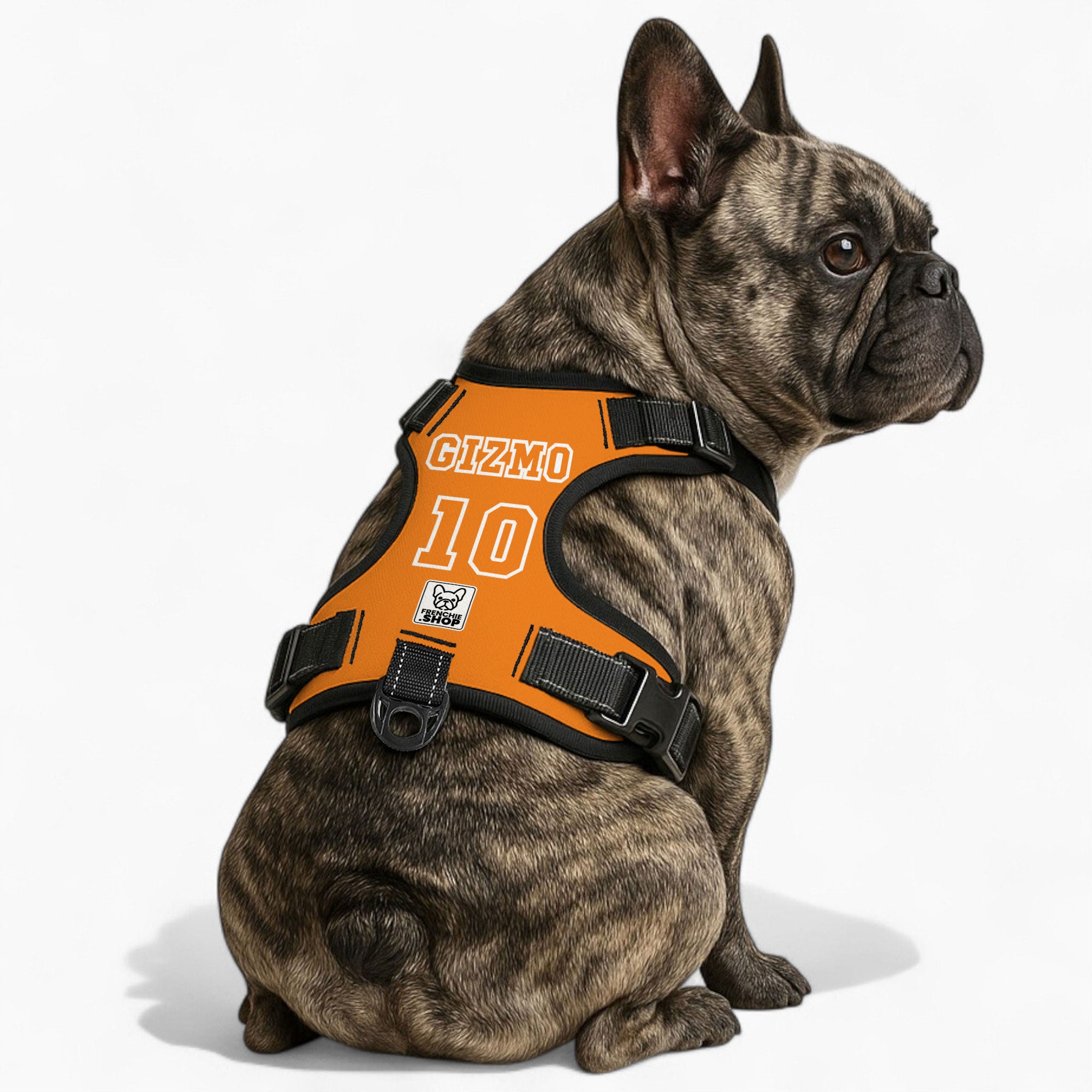 No-pull French Bulldog Dog Harness Winter Wear | Vet-recommended