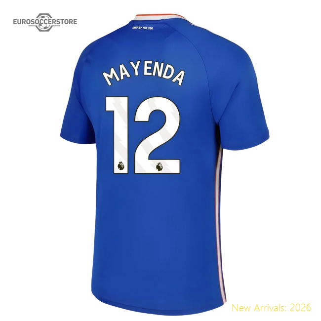 Official 2025-2026 Sunderland Away Shirt (mayenda 12) - Premium