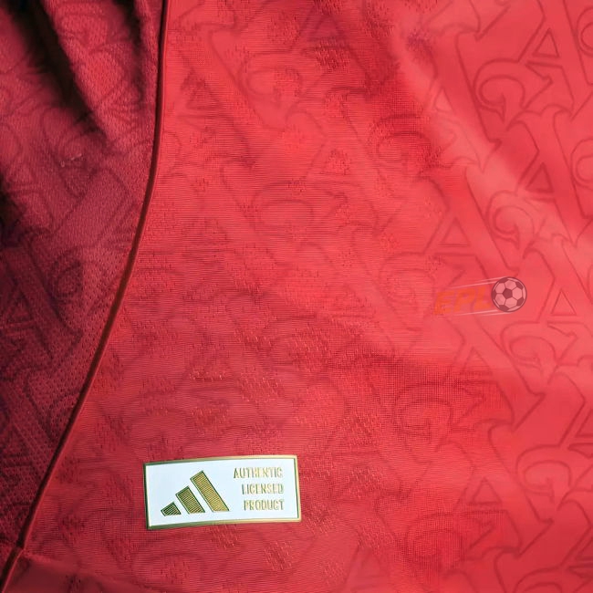 2025-20 Arsenal sophisticated Home Football Shirt | first-class