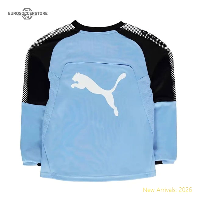 2017-2018 Newcastle Puma Sweat Top (blue) - Kids - Official Edition