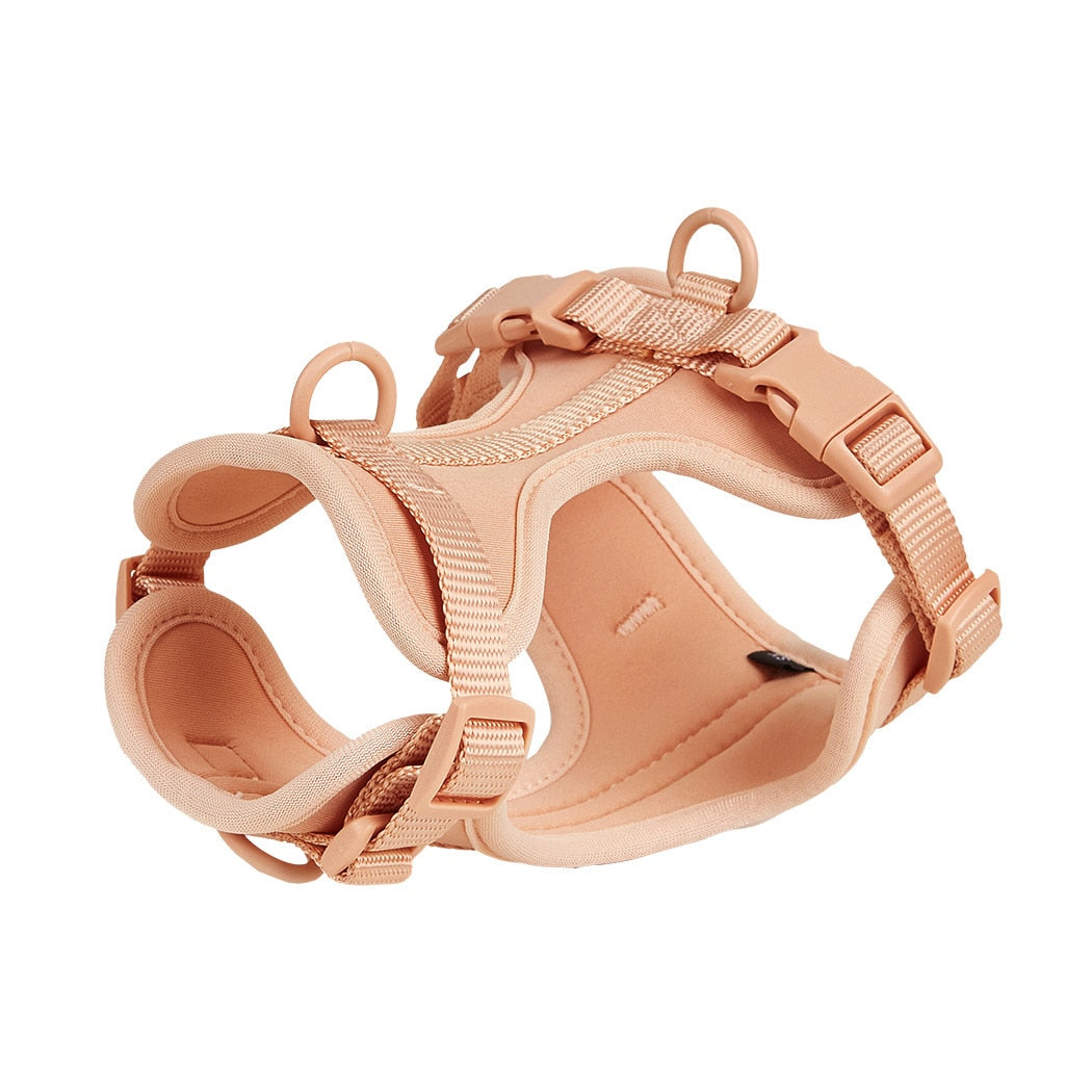 Frenchie Quick Release Harness Leash Set