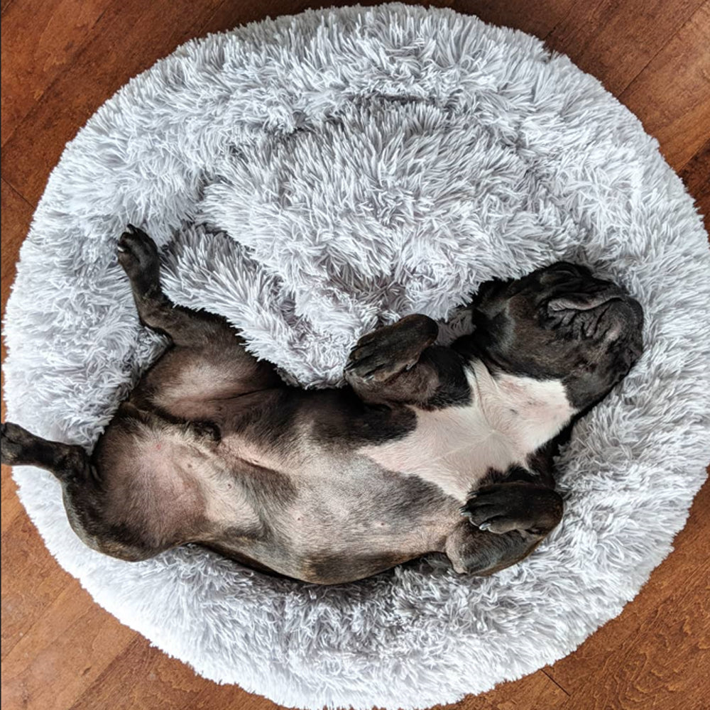 Donutly™: Anti-Anxiety French Bulldog Bed
