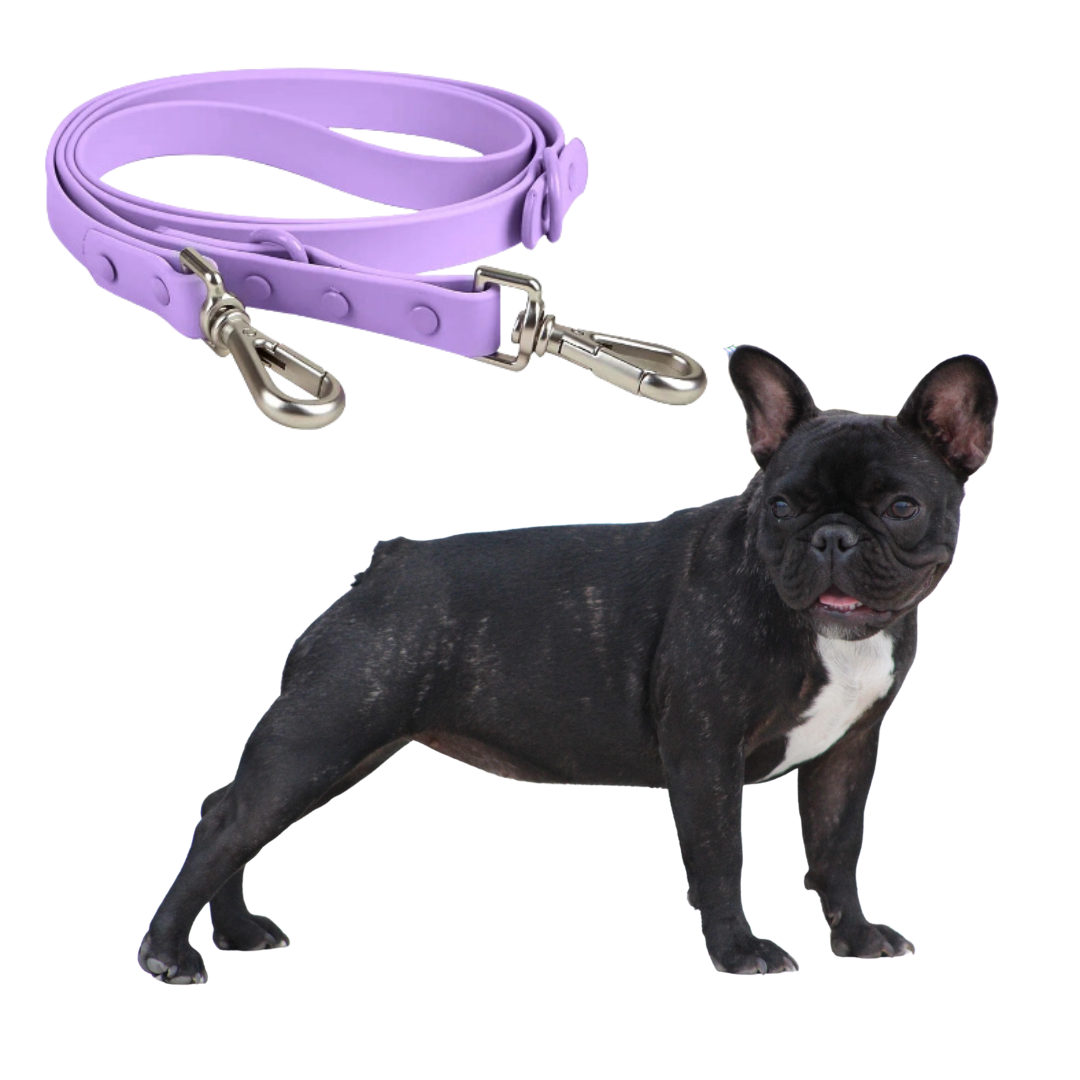 Quick Release Harness Leash Set Paw Protection | Vet-recommended