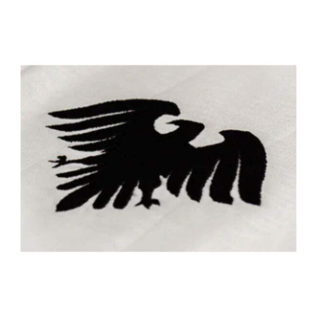 Sweet Austria Bundesadler Home Retro Football Shirt Unique