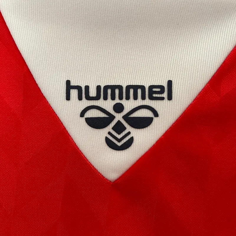 1988 Denmark Jersey retro kit