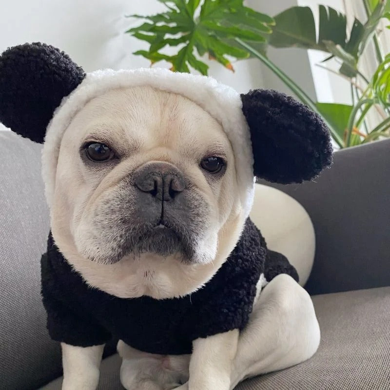BamBuff Frenchie Panda Costume Hoodie – Halloween Warm Adorable Dog Cosplay Outfit