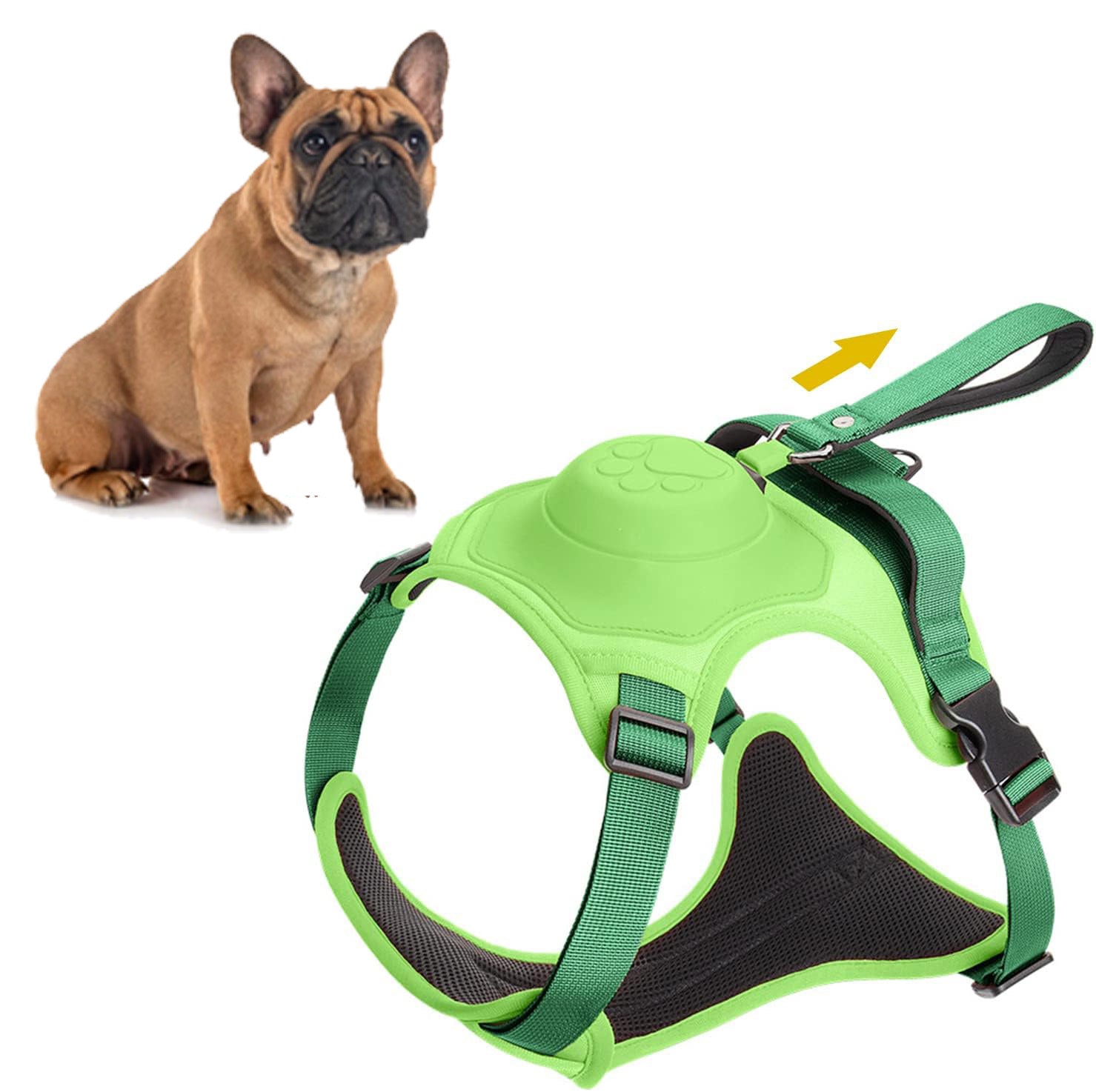 BulldogBound Frenchie Harness and Retractable Leash Set All-in-One