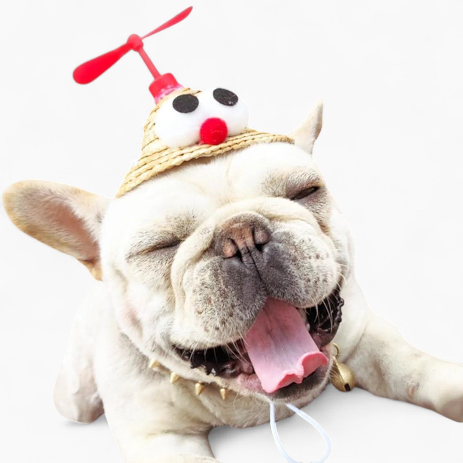 Everyday Twirlcap Frenchie Spinning Straw Hat – Cute Propeller Summer...
