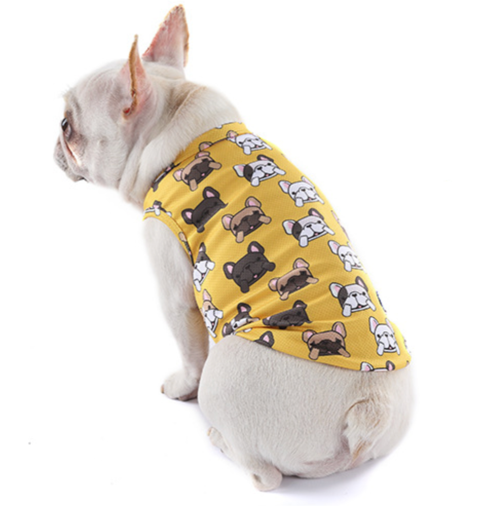 Coolify™: Summer Cooling Vest (CS17)