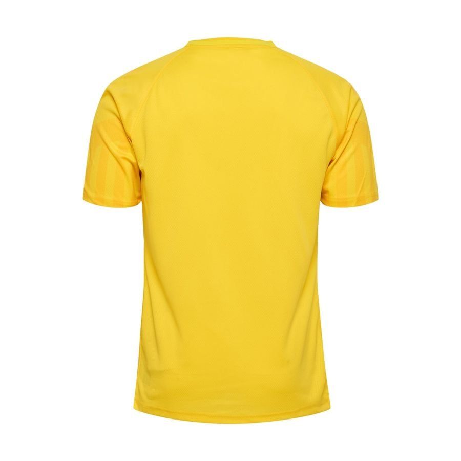 Denmark Goalkeeper Shirt World Cup 2022 Kids For Algeria Football Fans