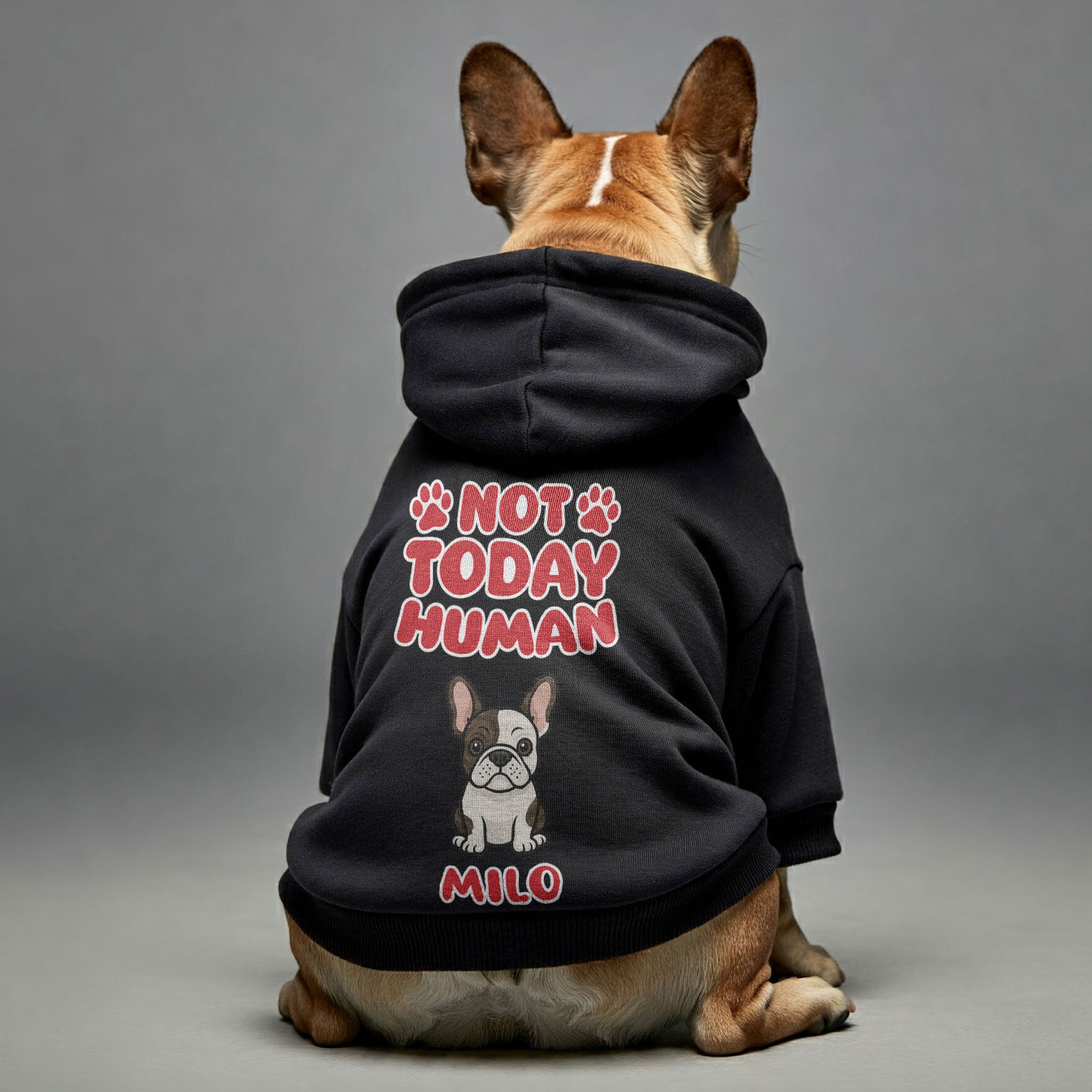 Lifestyle-Driven Not Today - Personalized French Bulldog Hoodies With...