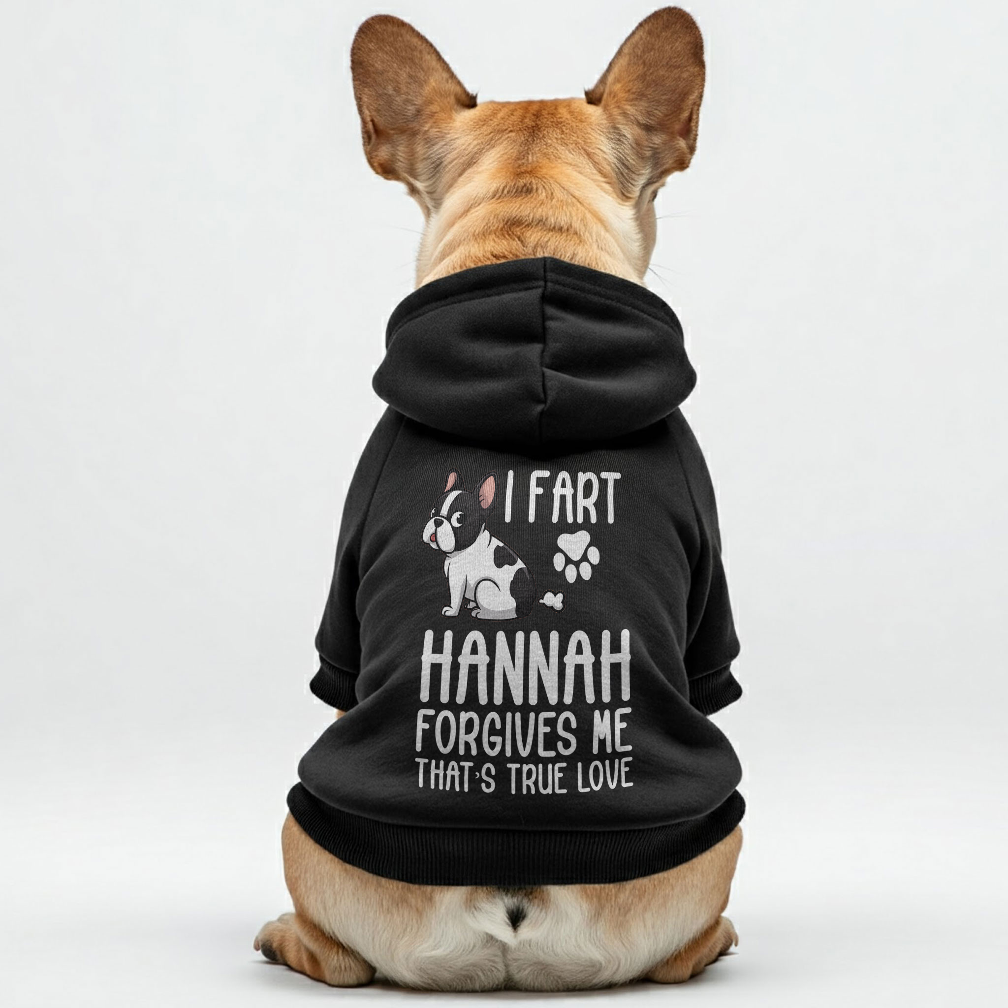 Everyday Personalized French Bulldog Hoodies With Owner's Name And Fu...