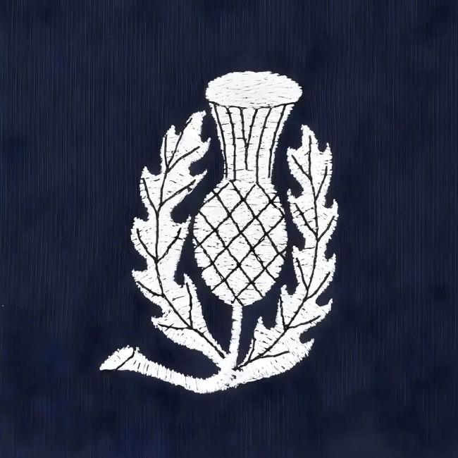 Retro Kit P. Thistle #1966 Current Season Vintage Official Merch (v8)