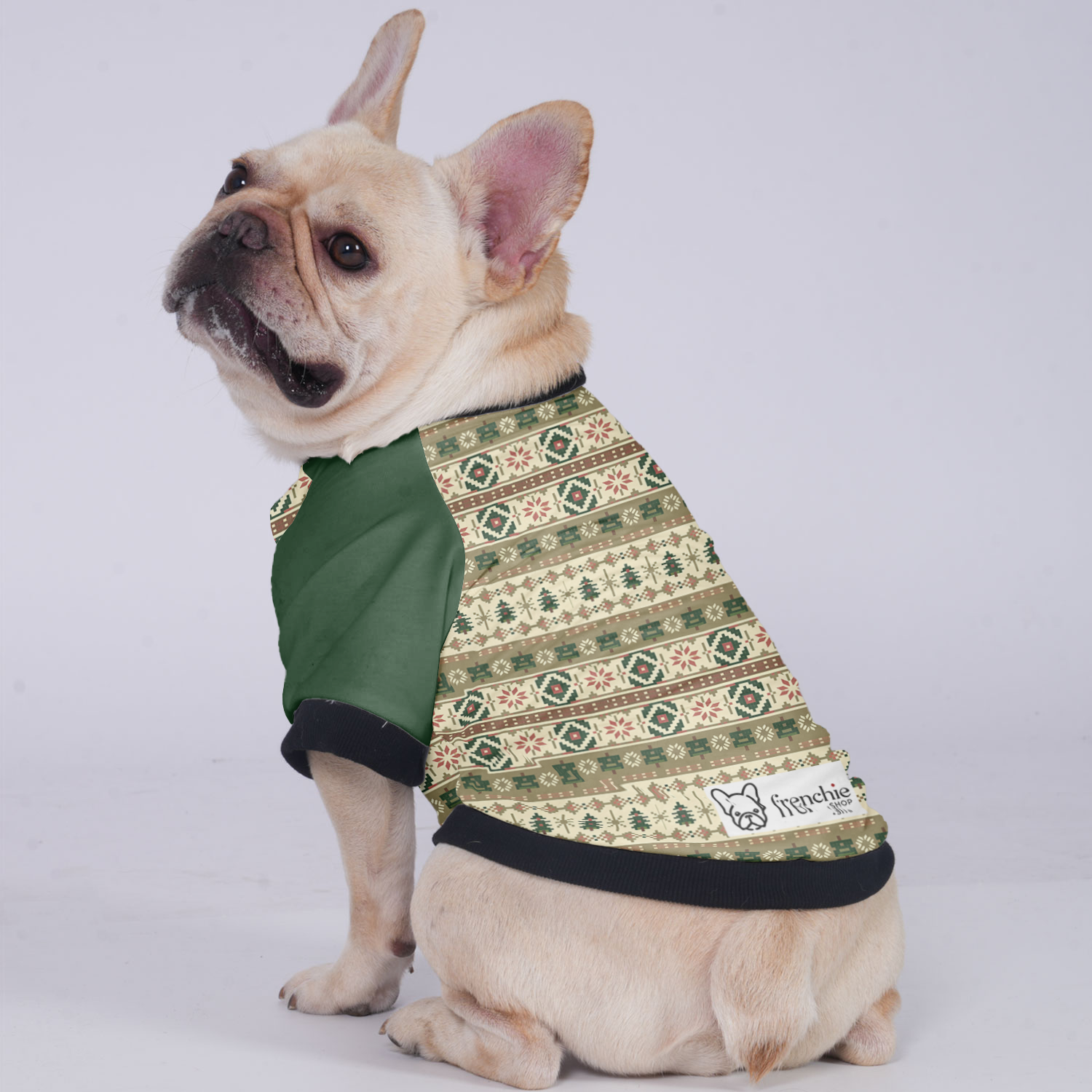 Minimal-Aesthetic Stylish Teddy - Jacket For French Bulldog as a Gift