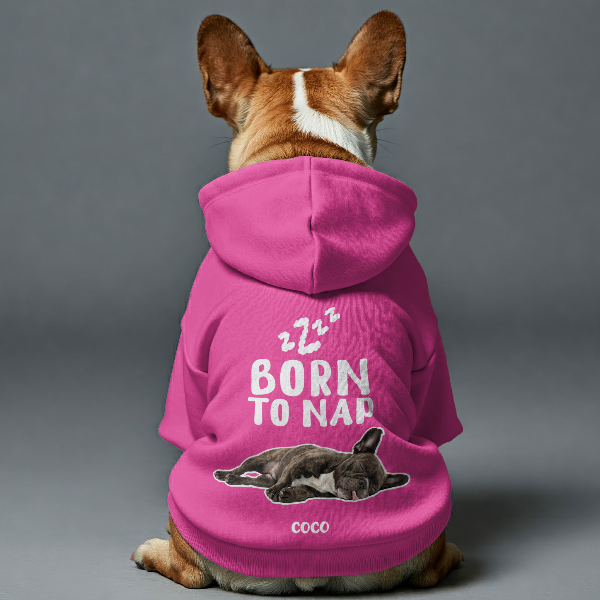 Lifestyle-Driven Born To Nap – Personalized French Bulldog Hoodies Wi...