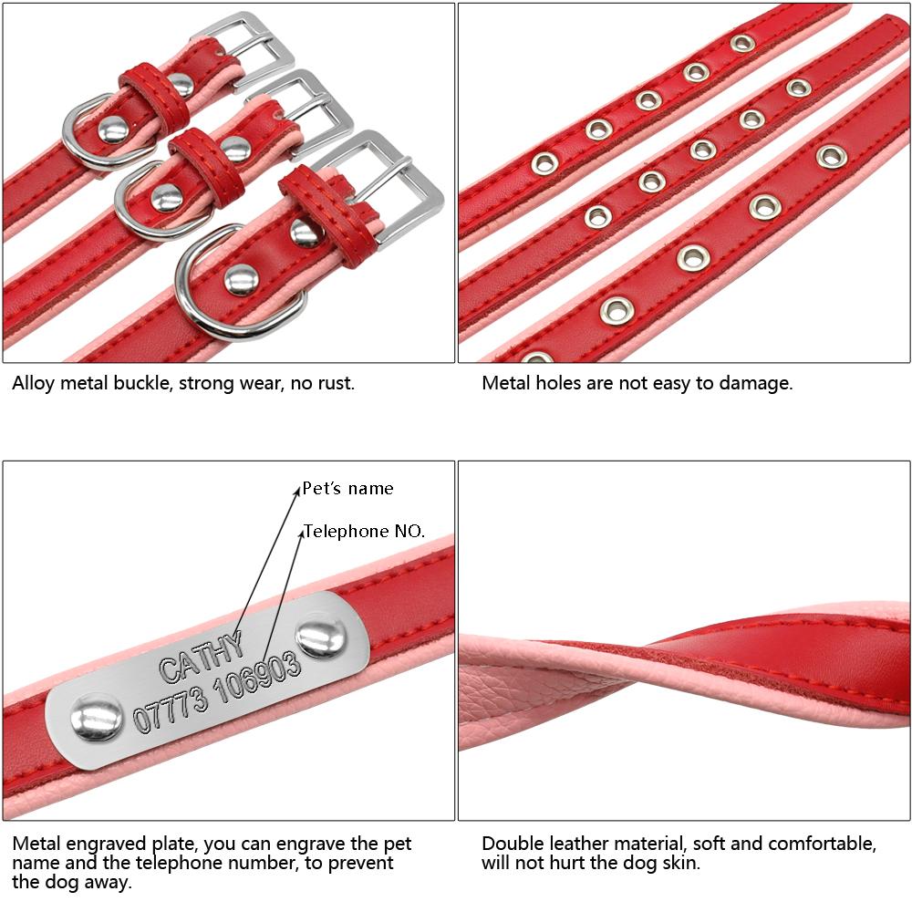 Breed-Specific Custom Frenchie Collar for Short-Nosed Breeds Comfortable