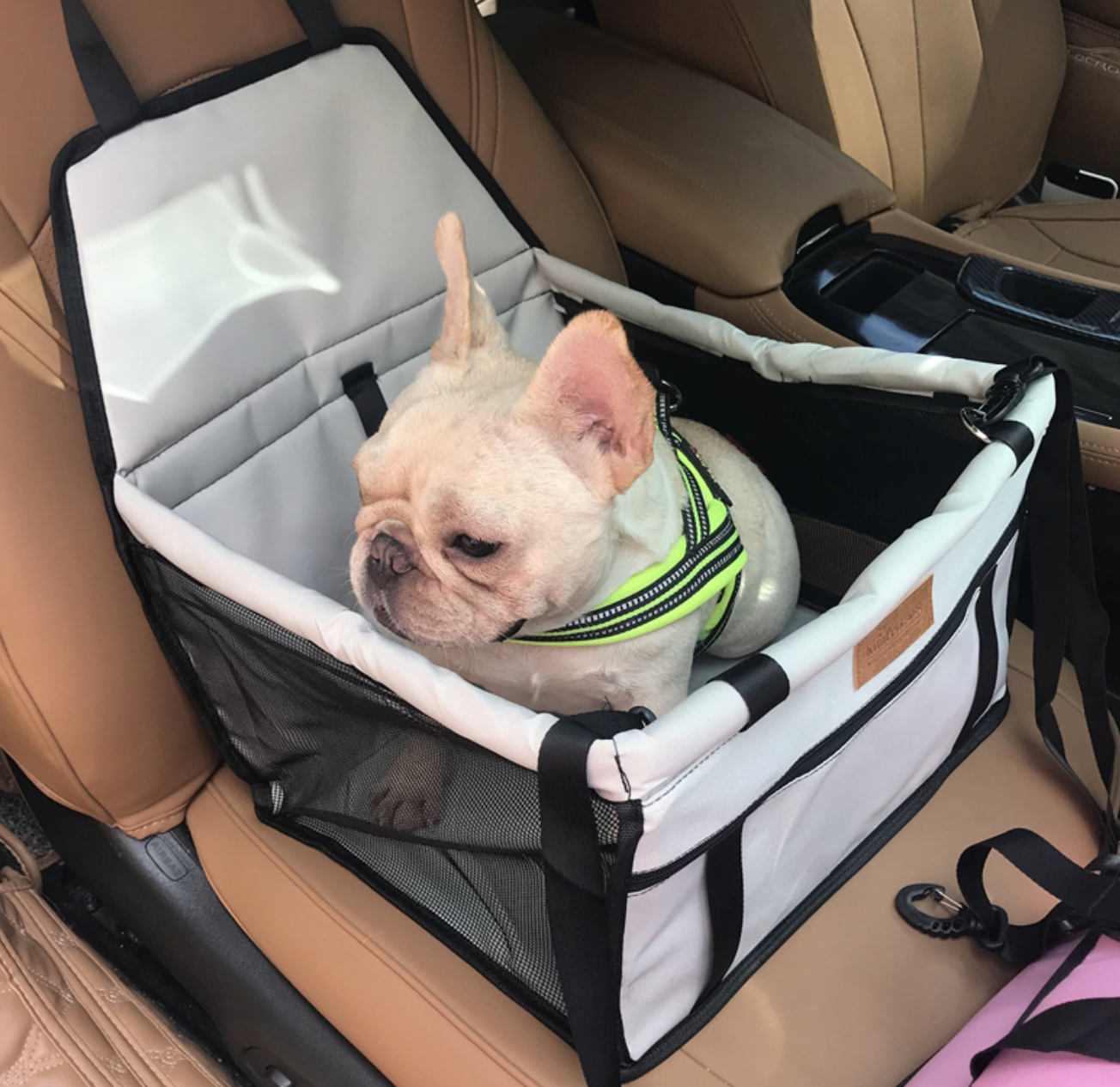 Street-Ready French Bulldog Seat Cover For Frenchies V4 (ws54) for Ev...