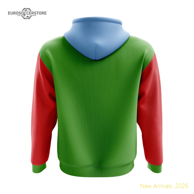 Premium-grade Djibouti Concept Country Football Hoody (green)