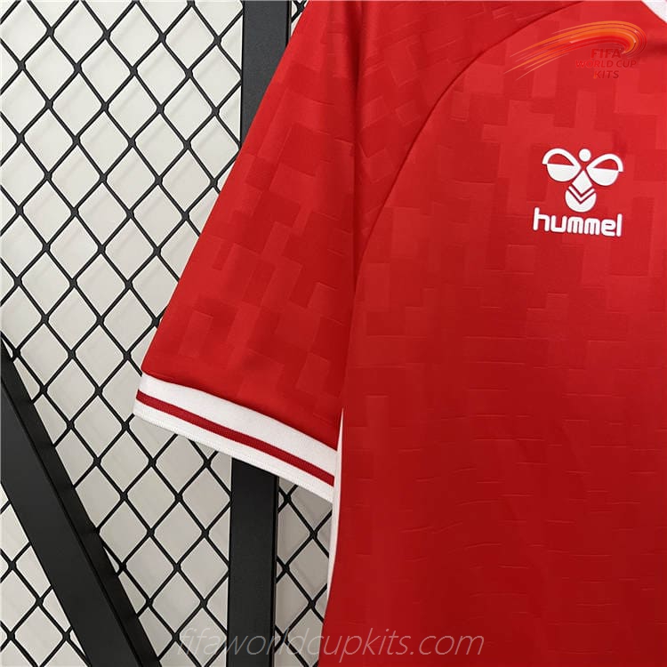 Denmark 2024 Euro Cup Home Football Kit