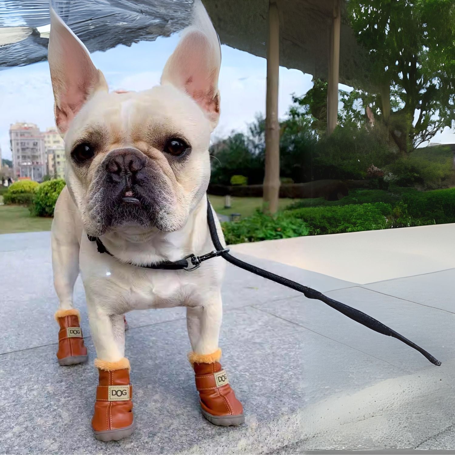 Warm French Bulldog Shoes – Soft Durable And Non-slip Indoor Use