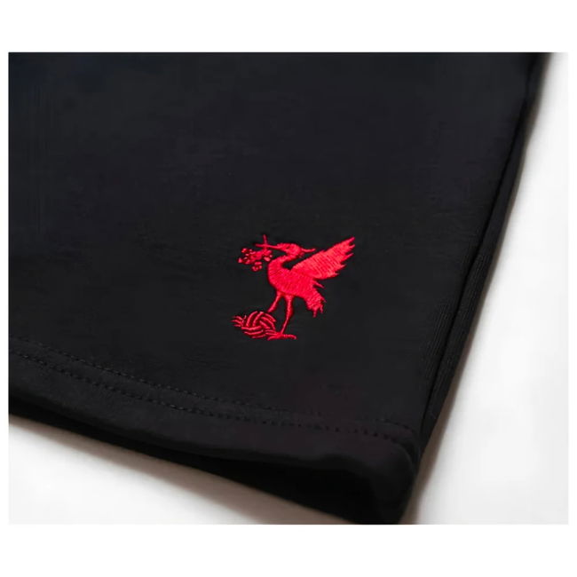 Fervent Durable Material Liverpool 2024-2025 Season Supporter Shirt