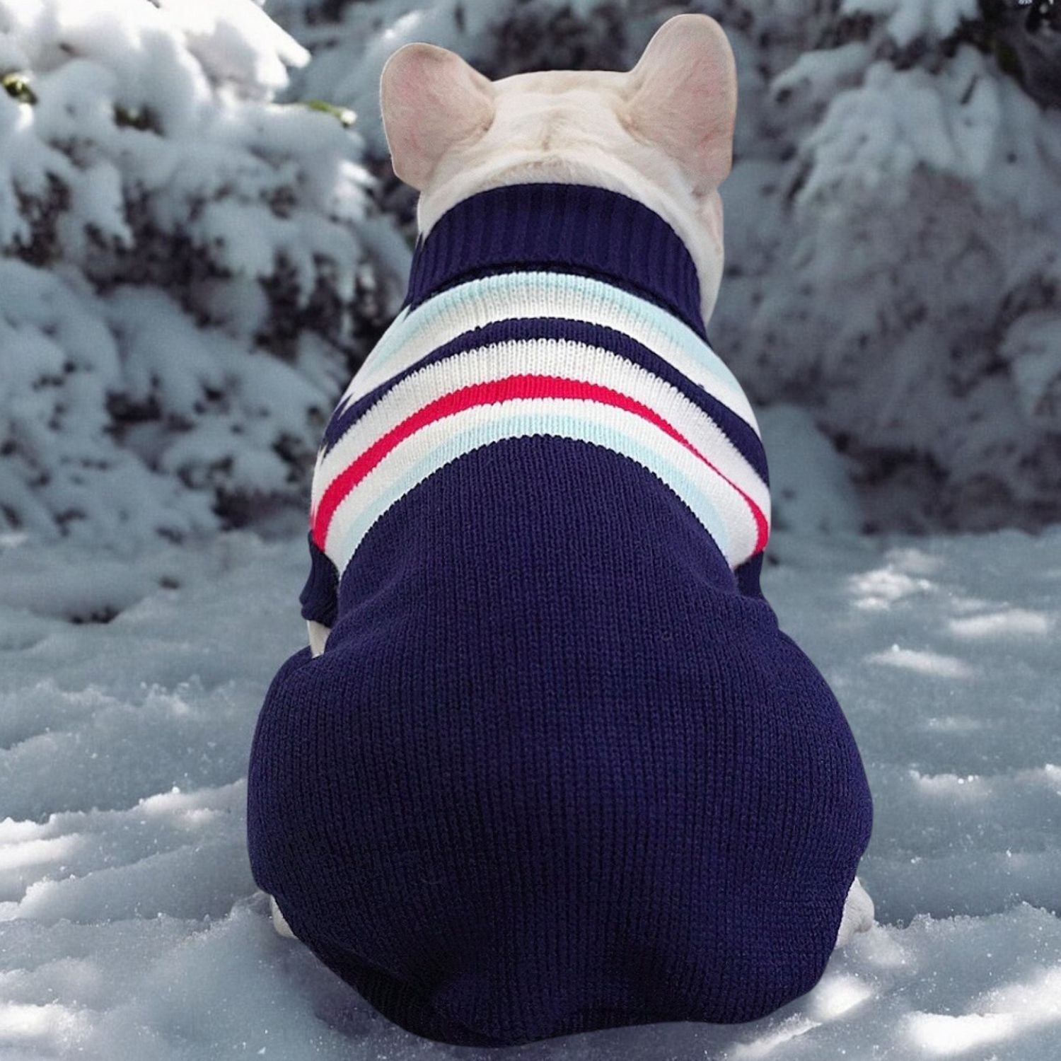 Everyday Christmas French Bulldog Sweater – Festive Holiday Apparel F...