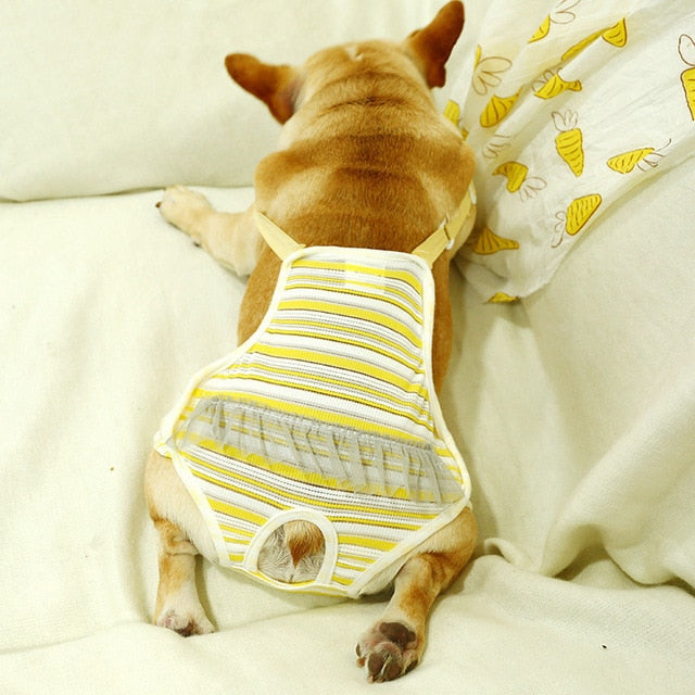 French Bulldog Washable Reusable Diapers