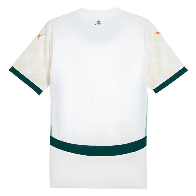 Ivory Coast Pro Away Jersey 2024-2025