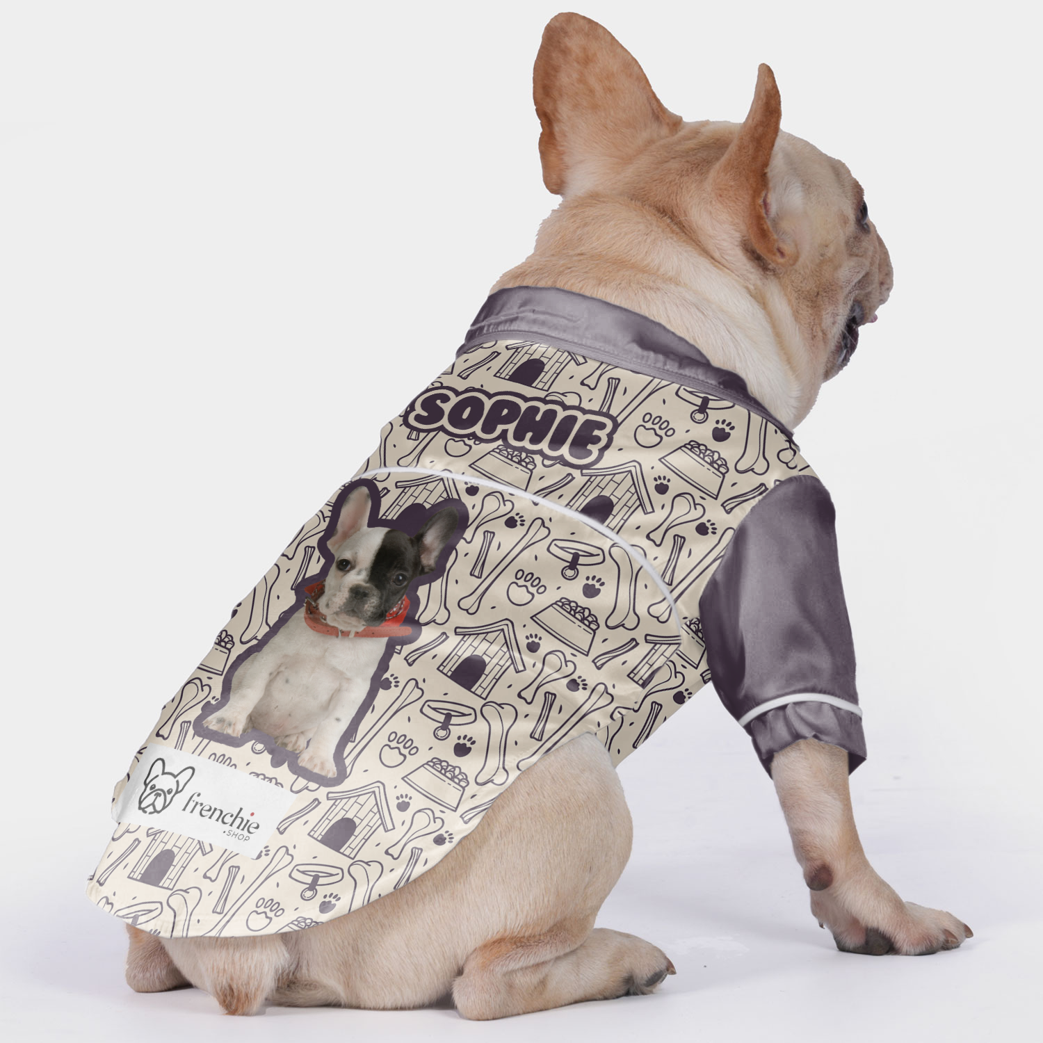 French Bulldog's Name And Picture For French Bulldogs | Vet-recommended