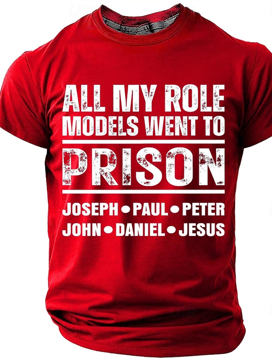 Men's All My Role Models Went To Prison T-Shirt, Funny Christian Bible Tee Gift for Dad