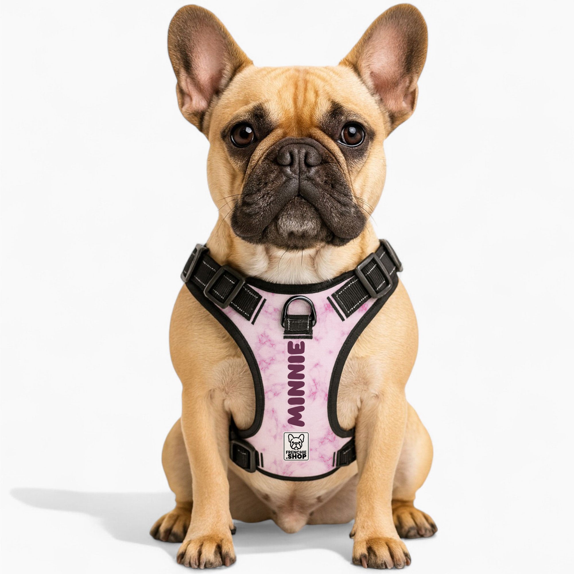 Weather-Resistant Herbie - Personalized No-pull French Bulldog Dog Ha...