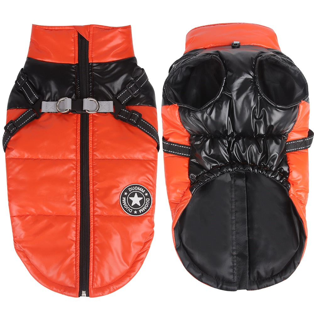 Jacket With Reflective Harness (ws088) Dog Supplies | Vet-recommended