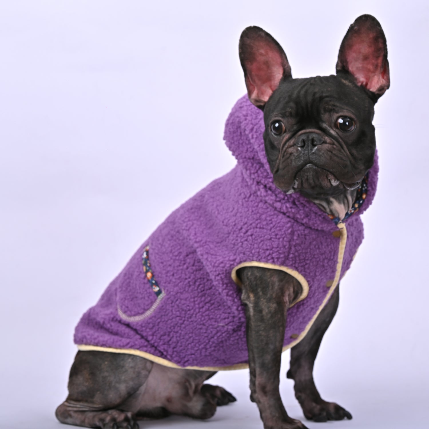 Bulldog Blizzard - Warm Fleece Hooded Frenchie Winter cloth V1