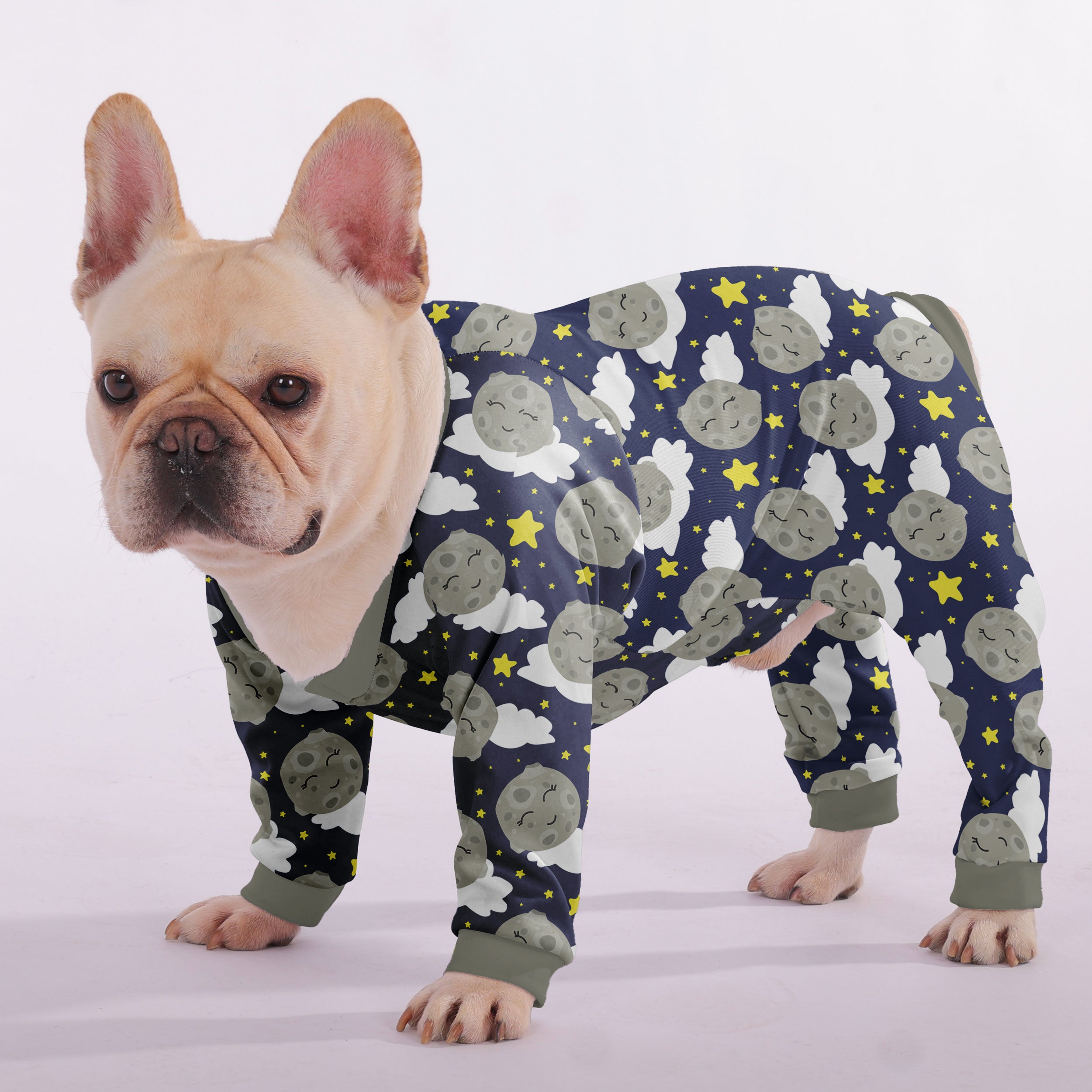 Trendy Lifestyle-Driven Finn - Frenchie Pajama for French Bulldog Lovers