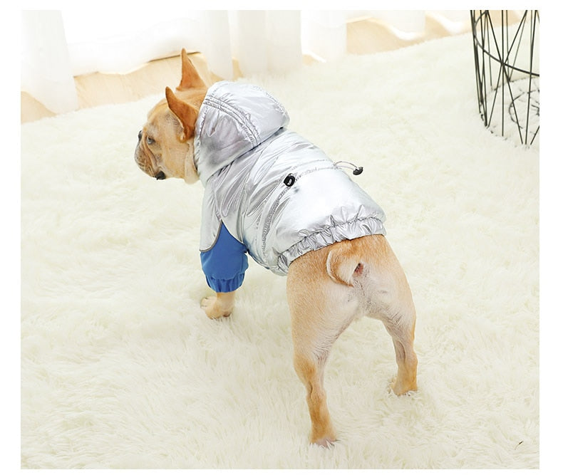 French Bulldog Warm Winter Coat For French Bulldog (ws305) Warm Dog Outfit