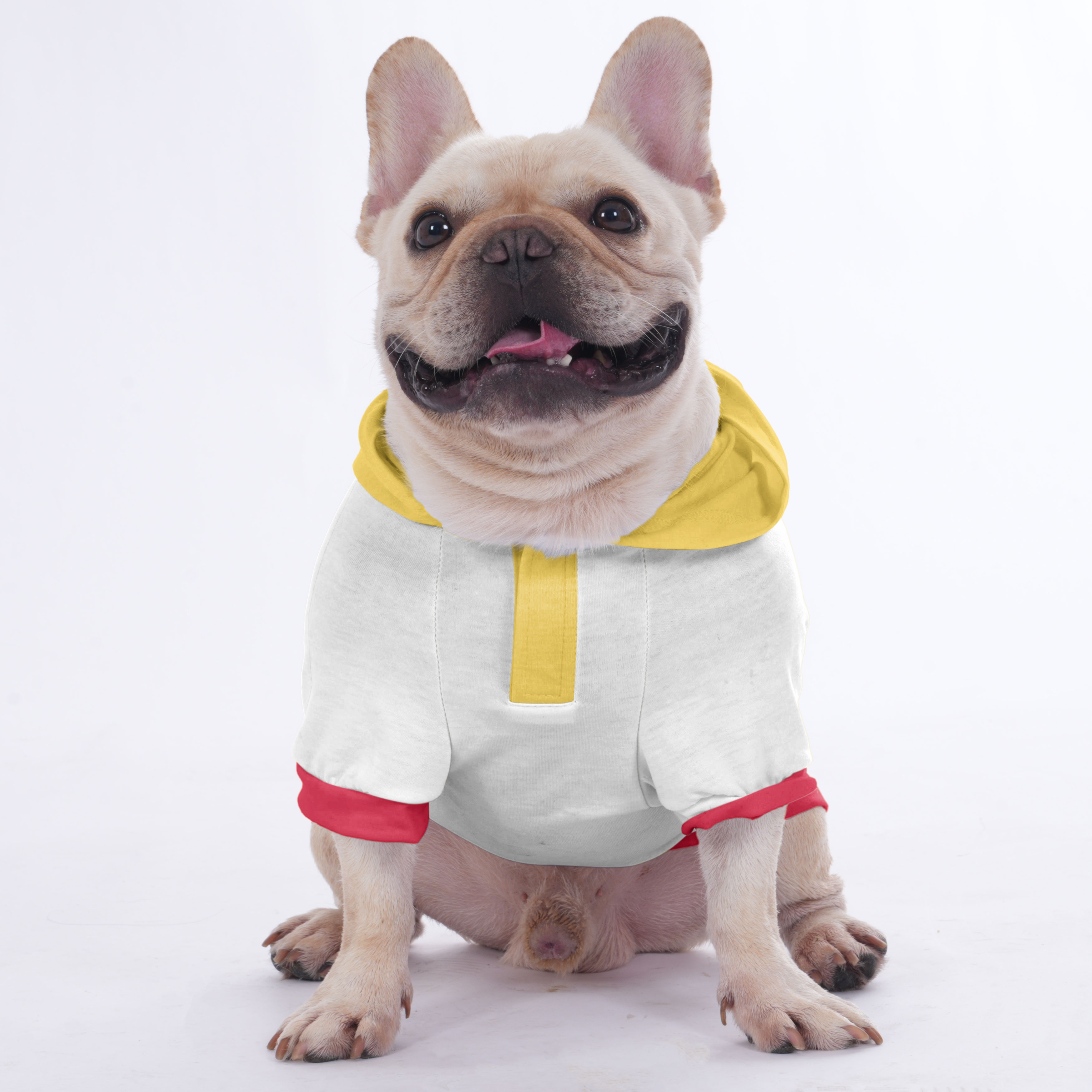 French Bulldog Penny Hoodies For French Bulldog | Frenchie Shop