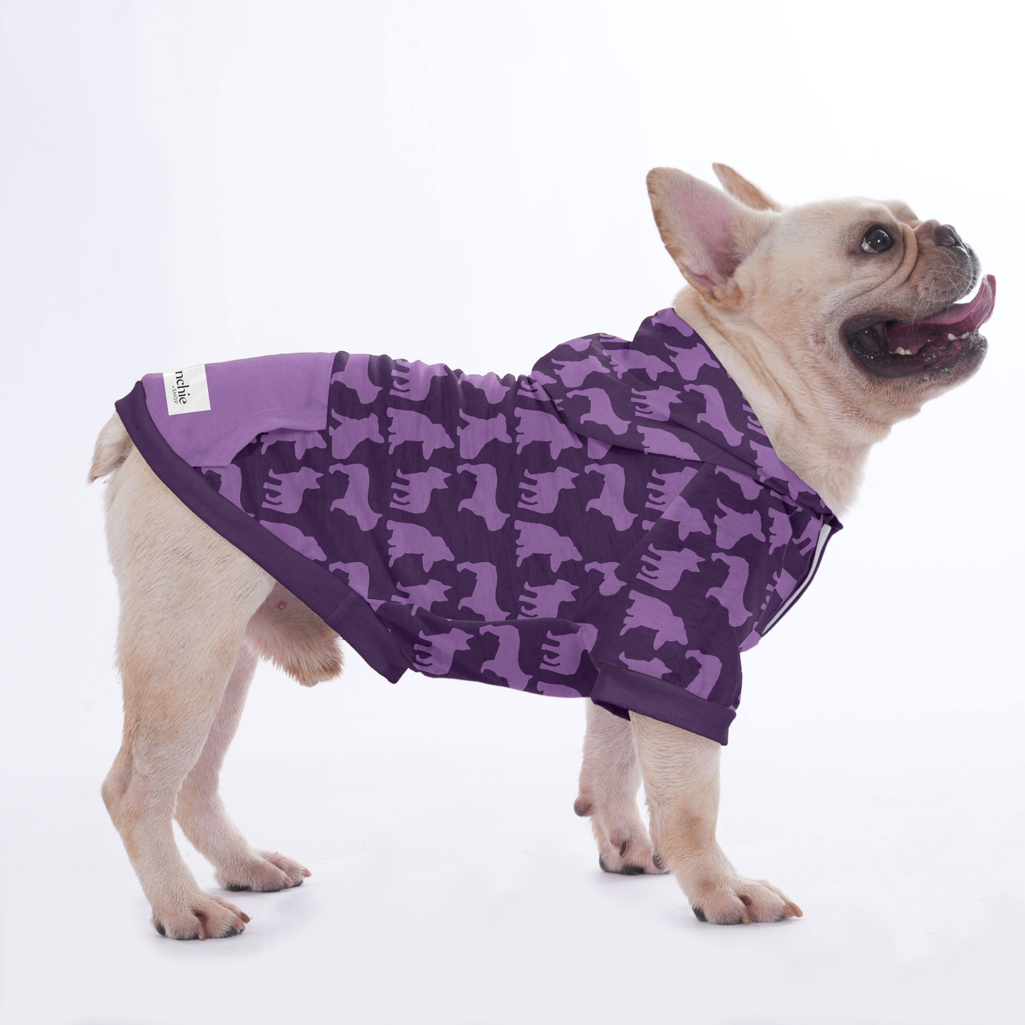 Trendy Groucho - Hoodies For French Bulldog | Frenchie Shop Original ...
