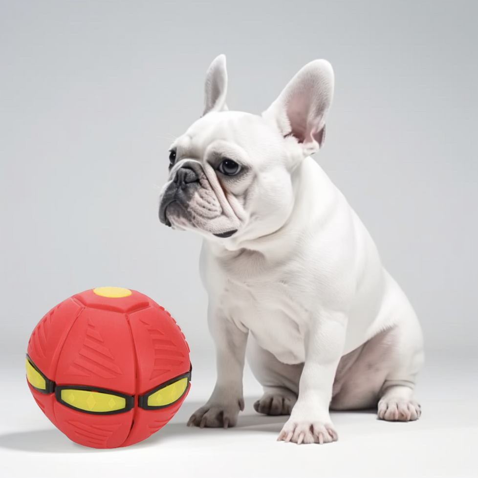 French Bulldog Frenlite Frenchie Toy Ball With Led Light Fun Dog Toy