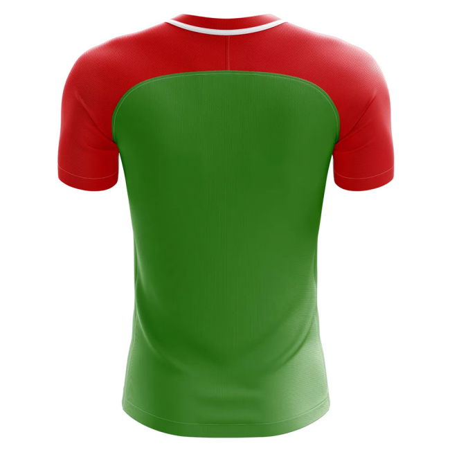 2025-2026 Chechnya Home Concept Football Shirt - Baby