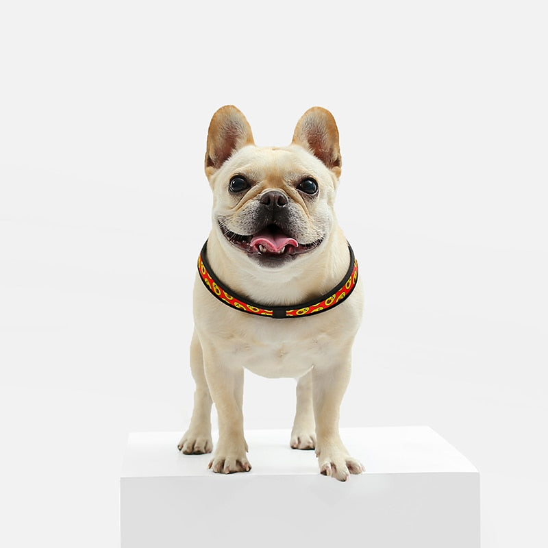 Easy-Walk™ - No Pull French Bulldog Harness (WS601)