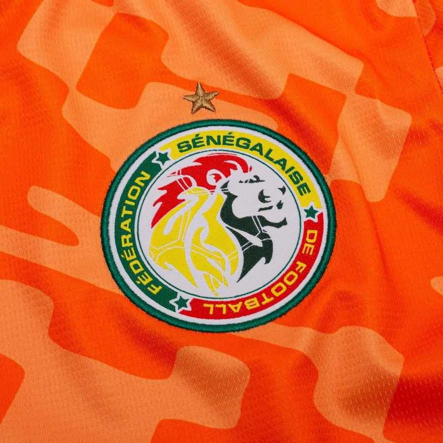 [EFKS] 2026 Senegal WC Goalkeeper Kit