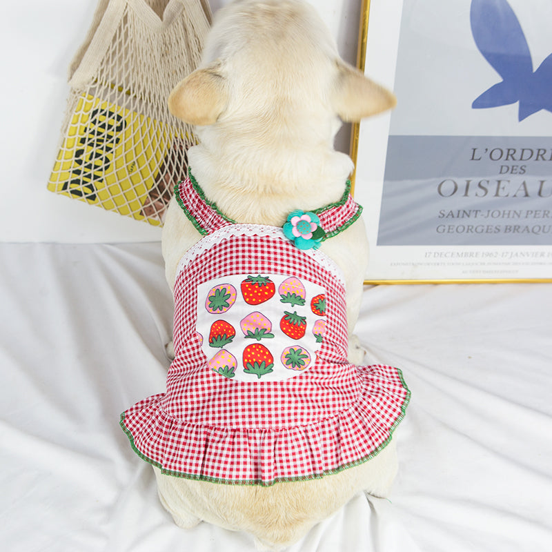 Queen Vest Skirt Frenchie Summer Dress (W318)