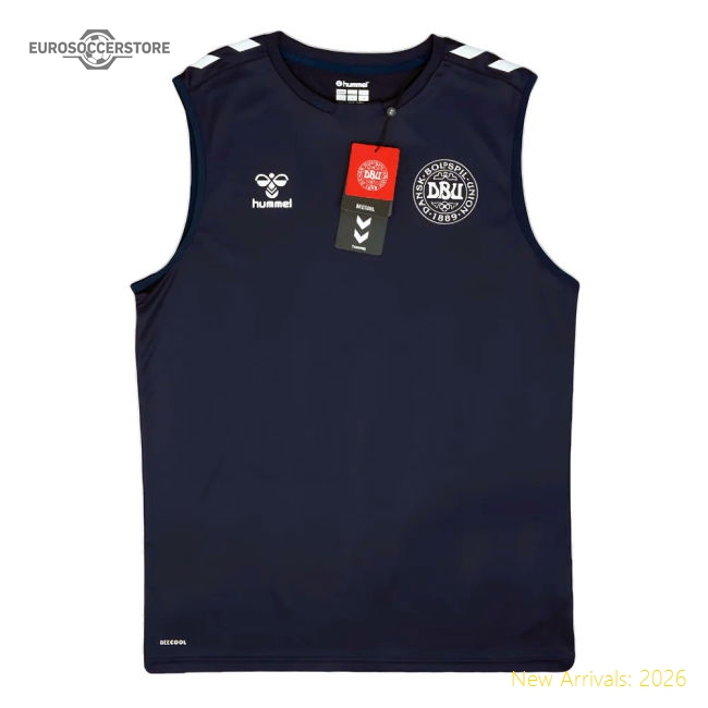 Denmark 2024-2025 Elite Training Shirt - Slim Timeless Mobility