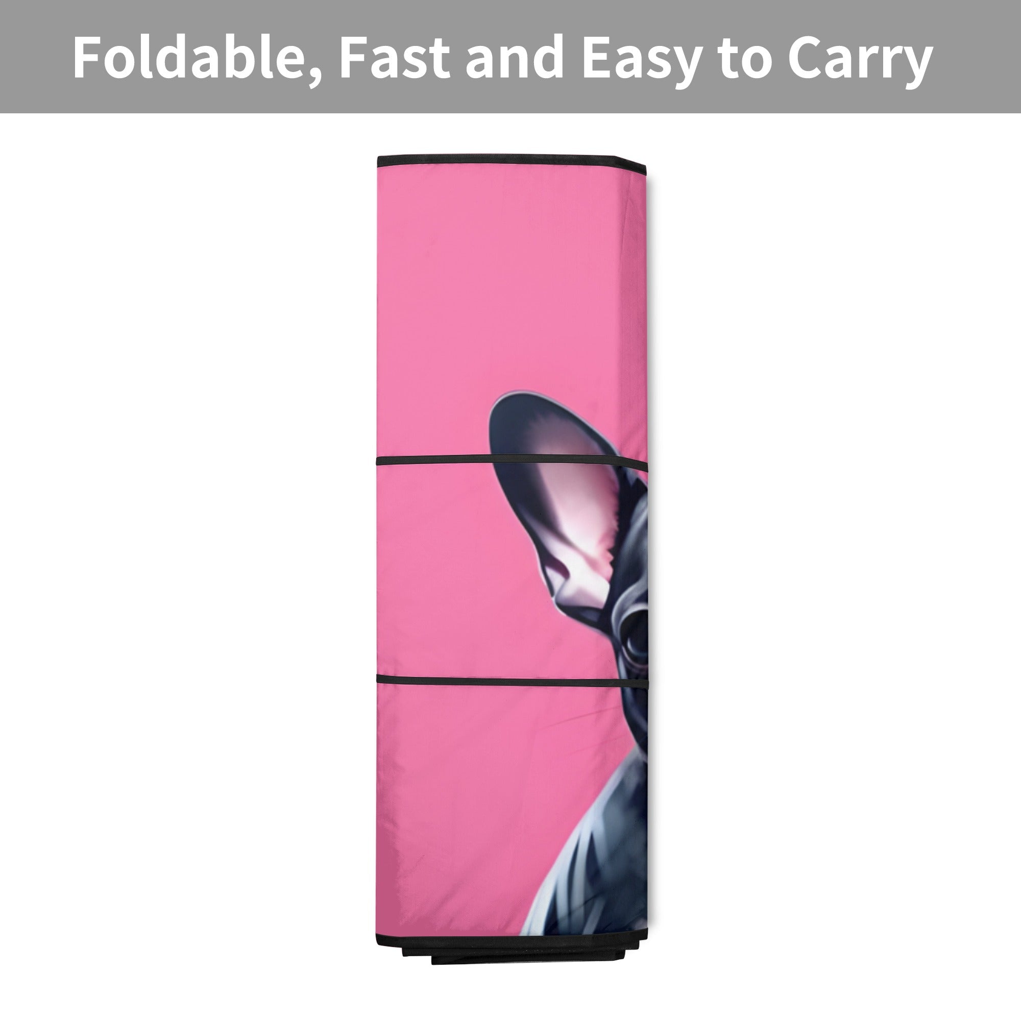 Street-Ready Minimal-Aesthetic Zoe - Car Auto Sun Shade for Daily Life