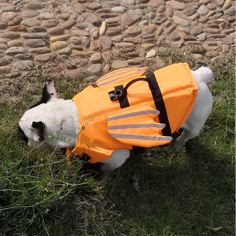 FloatPro French Bulldog Life Swimming Vest