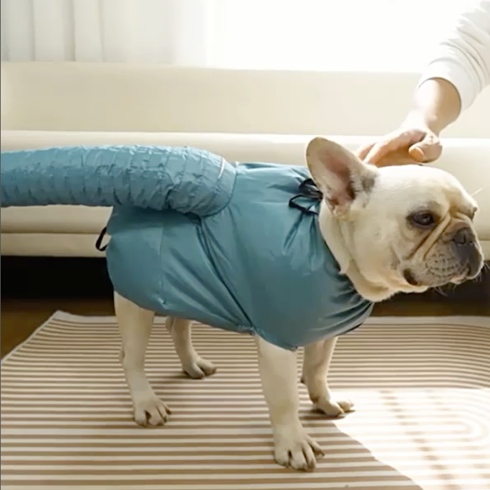 Fashion-Forward Poochdry Frenchie Drying Bag Quick And Easy Pet Dryin...